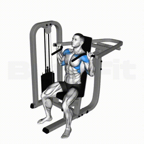 Shoulder Press Machine